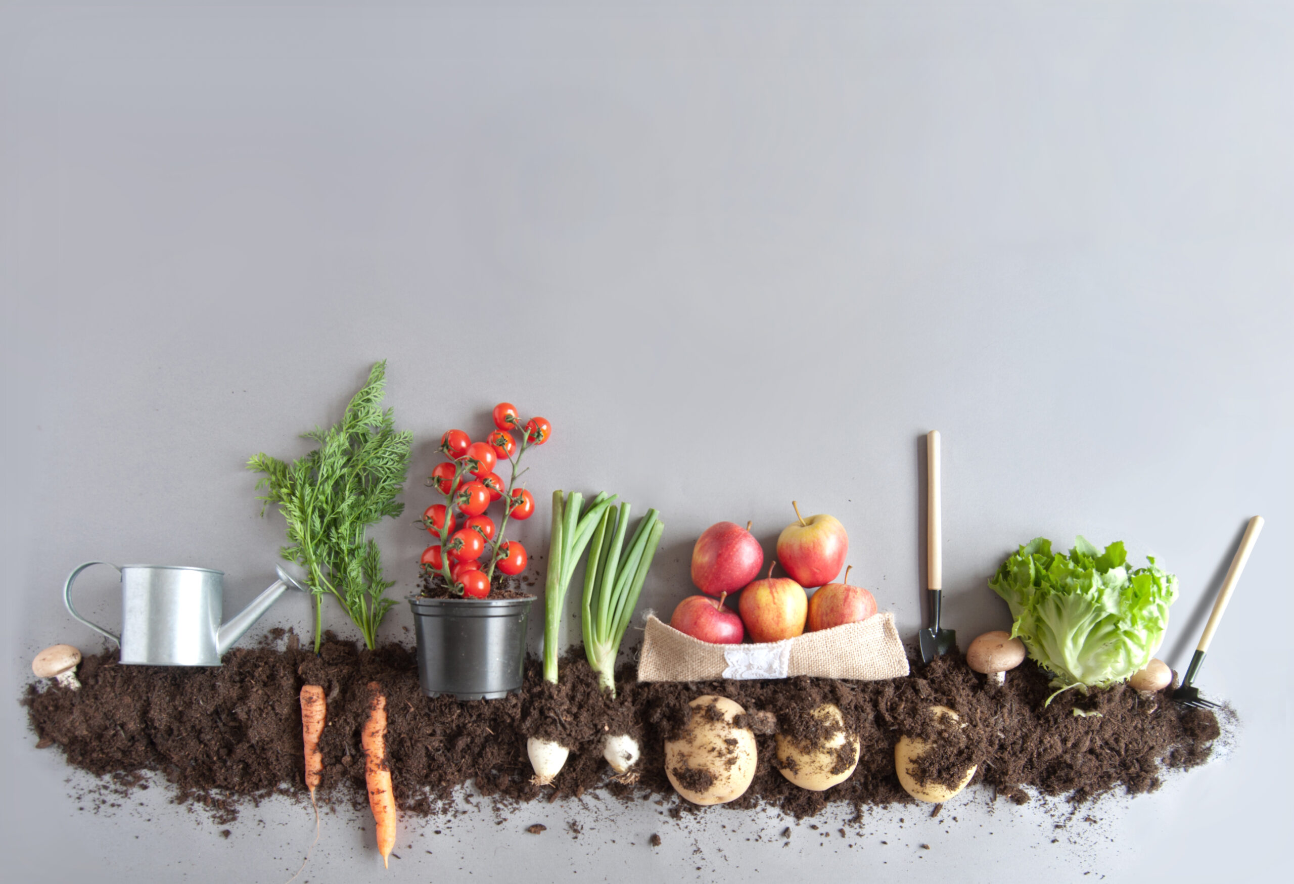 Organic,Fruits,And,Vegetables,Growing,In,Compost