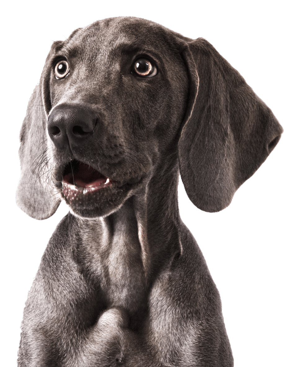 iStock 157527277